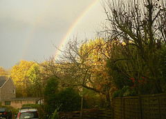 rainbow - rainbow
