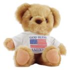 Teddy Bear - picture of a teddy bear wearing a T-shirt with the American Flag.