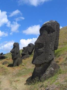 Moai Rano raraku - Moai are statues carved from compressed volcanic ash on Rapa Nui, Chile (Easter Island). The statues are all monolithic, that is, carved in one piece. The largest moai erected, "Paro", was almost 10 metres (33 feet) high and weighed 75 tonnes (74 Imperial tons, 83 American tons).[1] One unfinished sculpture has been found that would have been 21 metres (69 ft) tall and would have weighed about 270 tons.

Fewer than one-fifth of the statues that were moved to ceremonial sites and then erected once they had red stone cylinders (pukau) placed on their heads. These "topknots", as they are often called, were carved in a single quarry known as Puna Pau. About 95% of the 887 moai known to date were carved out of compressed volcanic ash at Rano Raraku, where 394 moai still remain visible today. Recent GPS mapping in the interior may add additional moai to that count. The quarries in Rano Raraku appear to have been abandoned abruptly, with many incomplete statues still in situ. However, the pattern of work is very complex and is still being studied. Practically all of the completed moai that were moved from Rano Raraku and erected upright on ceremonial platforms were subsequently toppled by native islanders in the period after construction ceased.
Maps of Easter Island showing locations of Moai
Enlarge
Maps of Easter Island showing locations of Moai
A close up of the moai at Ahu Tahai, restored with coral eyes by the American archaeologist William Mulloy
Enlarge
A close up of the moai at Ahu Tahai, restored with coral eyes by the American archaeologist William Mulloy

Although usually identified as "heads" only, the moai are actually heads and truncated torsos.

In recent years, toppled moai have been found untouched and face-down. This led to the discovery that the famous deep eye sockets of the moai were designed to hold coral eyes. Replica eyes have been constructed and placed in some statues for photographs.

The most widely accepted theory is that the statues were carved by the Polynesian colonizers of the island beginning by about A.D. 1000–1100. In addition to representing deceased ancestors, the moai, once they were erect on ceremonial sites, may also have been regarded as the embodiment of powerful living chiefs. They were also important lineage status symbols. The moai were carved by a distinguished class of professional carvers who were comparable in status to high-ranking members of other Polynesian craft guilds. The statues must have been extremely expensive to craft; not only would the actual carving of each statue require effort and resources, but the finished product was then hauled to its final location and erected. It is not known exactly how the moai were moved but the process almost certainly required human energy, ropes, wooden sledges and/or rollers. Another theory is that the moai may have been "walked" by rocking them forward. (Pavel Pavel and his successful experiment [2] showed that only 17 people with ropes are needed for relatively fast transportation of the statues). By the mid-1800s, all the moai outside of Rano Raraku and many within the quarry itself had been knocked over. Today, about 50 moai have been re-erected on their ceremonial sites.

Ancient island legends speak of a clan chief called Hotu Matu&#039;a, who left his original home in search of a new one. The place he chose is now known to us as Easter Island. When he died, the island was divided between his six sons and later sub-divided among their descendants. The islanders may have believed that their statues would capture the chiefs&#039; "mana" (supernatural powers). They may have believed that by concentrating mana on the island good things would result, e.g., rain would fall and crops would grow. The settlement legend is a fragment of what was surely a much more complicated and multi-faceted, mythic sketch, and it has changed over time.