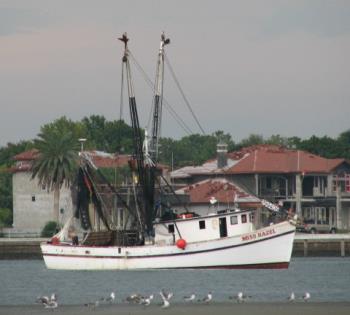 Shrimp Boat - Shrimp Boat