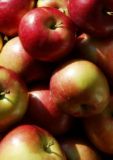 Macintosh Apples - a photo of macintosh apples