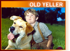 Old Yeller - Old Yeller
