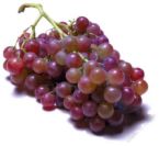 Grapes - I love eating grapes!