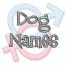dogs names - dogs names