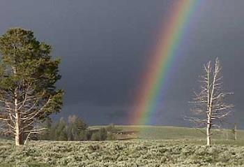 Rainbow - Rainbow