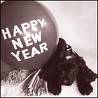 new year resolutions - new year resolutions