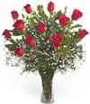 flower - red rose