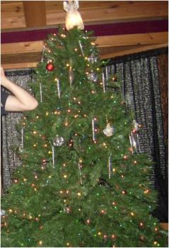 Christmas Tree - Tree