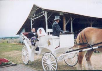 Wedding Carriage - us in our carriage after we were married