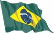 Brazilian flag - Brazilian flag