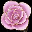 Rose - Pink Rose
