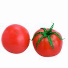 TOMATO - TOMATO