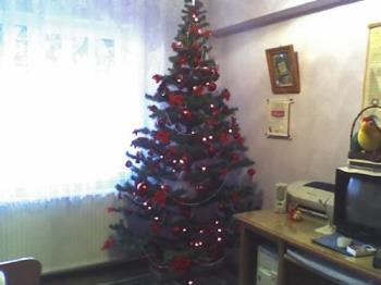 my christmas tree!!! - tree!!!