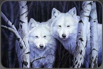 "WOLVES" - That is perhaps the greatest
mystery of mankind