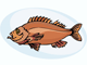 Fish - Fish Fish - Fish