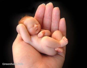 baby - baby baby - baby
