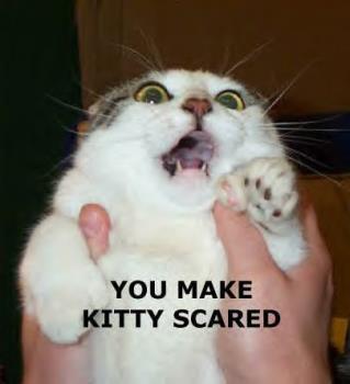 Kitty scared! - kitty scared!