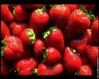 Strawberries - Strawberry