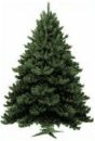 Christmas Tree - artificail Christmas tree