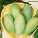 favorite fruit  - green  mango