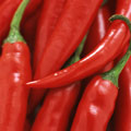 Hot & Spicy!! - Lovely chillis.