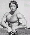 arnold - arnold body builder