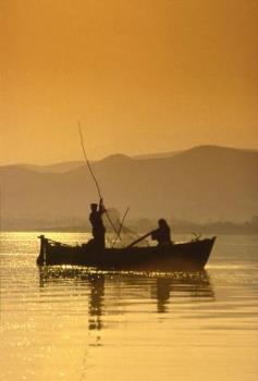 Early Morning Fishing - The beautiful FIshing sight