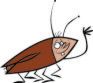 cockroach - cartoon of a cockroach