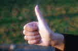 thumbs up - a wonderful question with not enough reponses prompted me to find this pick of thumbs up and relation to a question as to what hand is predominiate