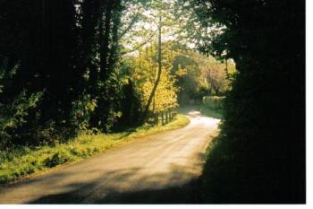 Jeremy&#039;s Lane - Bolney is riddled with narrow lanes and footpaths where one can walk for miles.