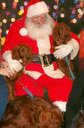 Santa With Pets - Santa with dogs
