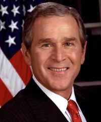 bush - bush