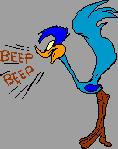 Road Runner - Cartoon