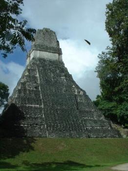 Mayan temple - A temple in the ancient Mayan city of Tikal, northern Guatemala.