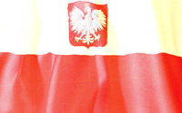 polish flag - polish national flag