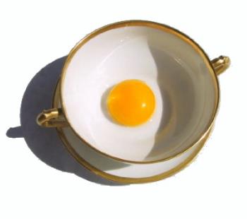 egg - eggyolk