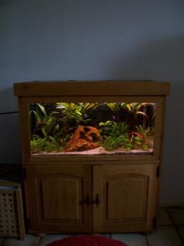 My Aquarium - My Aquarium