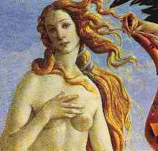 VENUS by Botticelli - Venere by Botticelli, italian art.