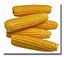 corn - corn