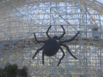 Big Spider - This picture was taken at Magic Mountain.  We went during Halloween and that is what they decorated with on that ride.