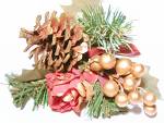 Christmas pinecone - Its christmas!