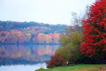 Autumn - Beautiful autumn-coloured trees, surrounding a still lake.