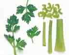 celery - a vegetable noted for it being green, stringy and tasteful.  added to many dishes and my personal favorite slathered in peanut butter