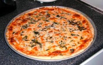 PIZZA - looks like a delicious pizza to me!