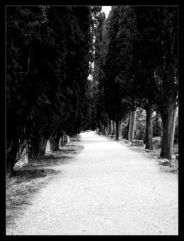 Ancient Roman Passage in Aquileia (Italy) - Photo Taken in Aquileia (Italy)
Olympus Digital Camera, B&W in Photoshop CS


(This photo is © by me - member of DevianArt -. Dont use it without my written permission!!)