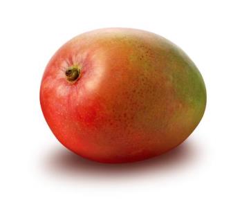 Mango - Mango - Fruit