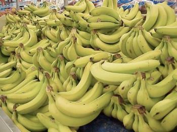 banana - varios clusters of banana