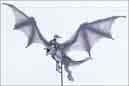 dragon with outstretched wings - many pics of dragons and this one wih wings outstretched suited my needs for commenting on response to one of my started discussions.