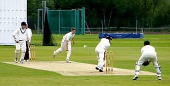 cricket - school cricket