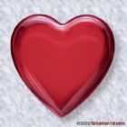 heart - not simply an organ in the human body, but also a symbol of love, peace, hope, faith, sincerity. spread love all over.